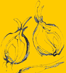 abbildung von zwiebeln